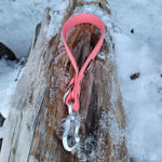 Load image into Gallery viewer, 1&quot; Wide Adventure Carabiner Biothane Traffic Leash - Get Dirty Pet Gear
