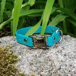 3/4" Wide Quick Release Biothane Collar - Get Dirty Pet Gear