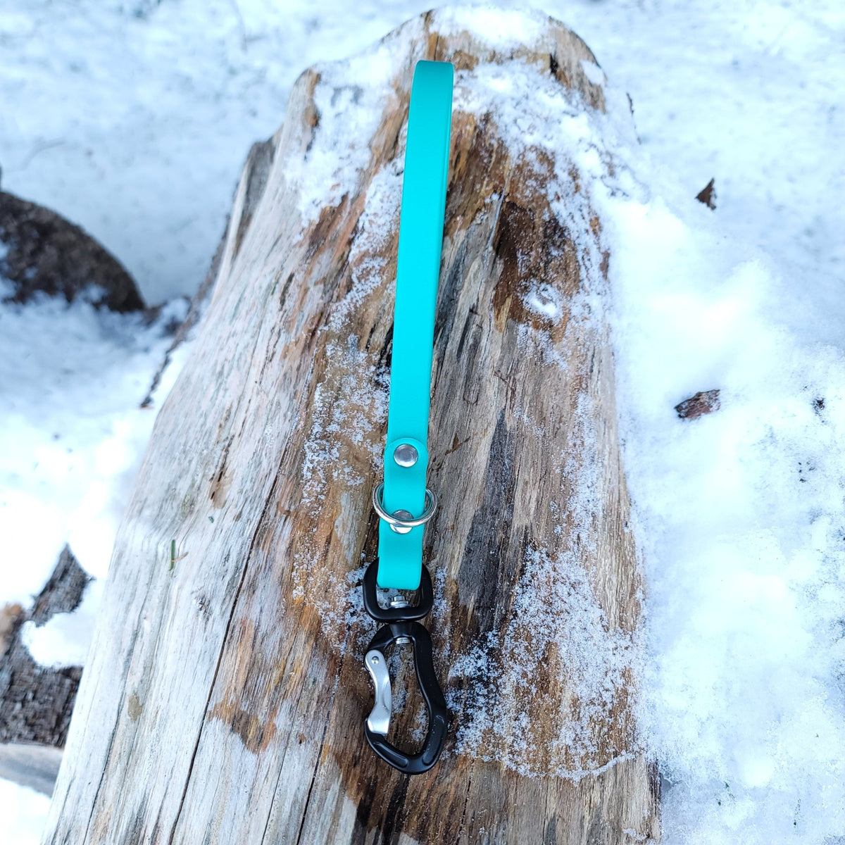 3/8 Wide Adventure Carabiner Biothane Leash