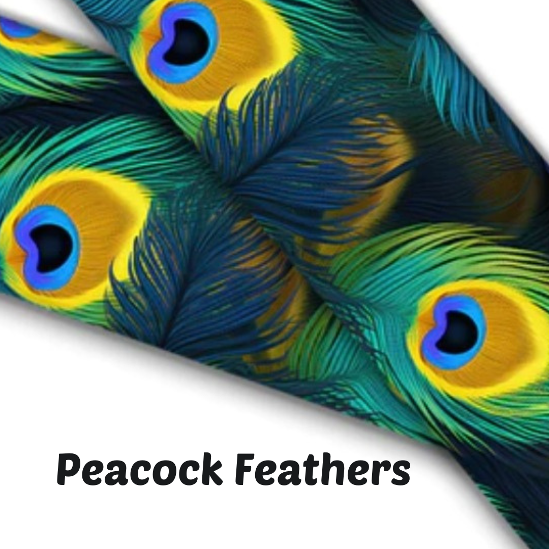 1.5" Wide Peacock Feathers Printed BioThane® Quick Release Taper Down Collar