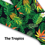 Load image into Gallery viewer, 1&quot; Wide Tropics Printed BioThane® Quick Release Taper Down Collar
