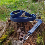 Load image into Gallery viewer, 1&quot; Wide Adventure Carabiner Biothane Leash - Get Dirty Pet Gear
