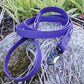 1" Wide Adventure Carabiner Biothane Leash - Get Dirty Pet Gear