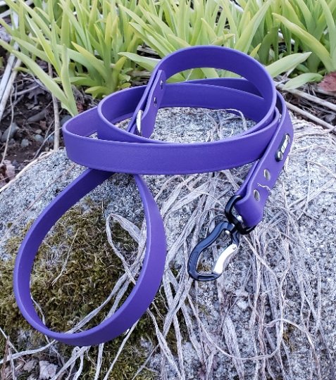 1" Wide Adventure Carabiner Biothane Leash - Get Dirty Pet Gear