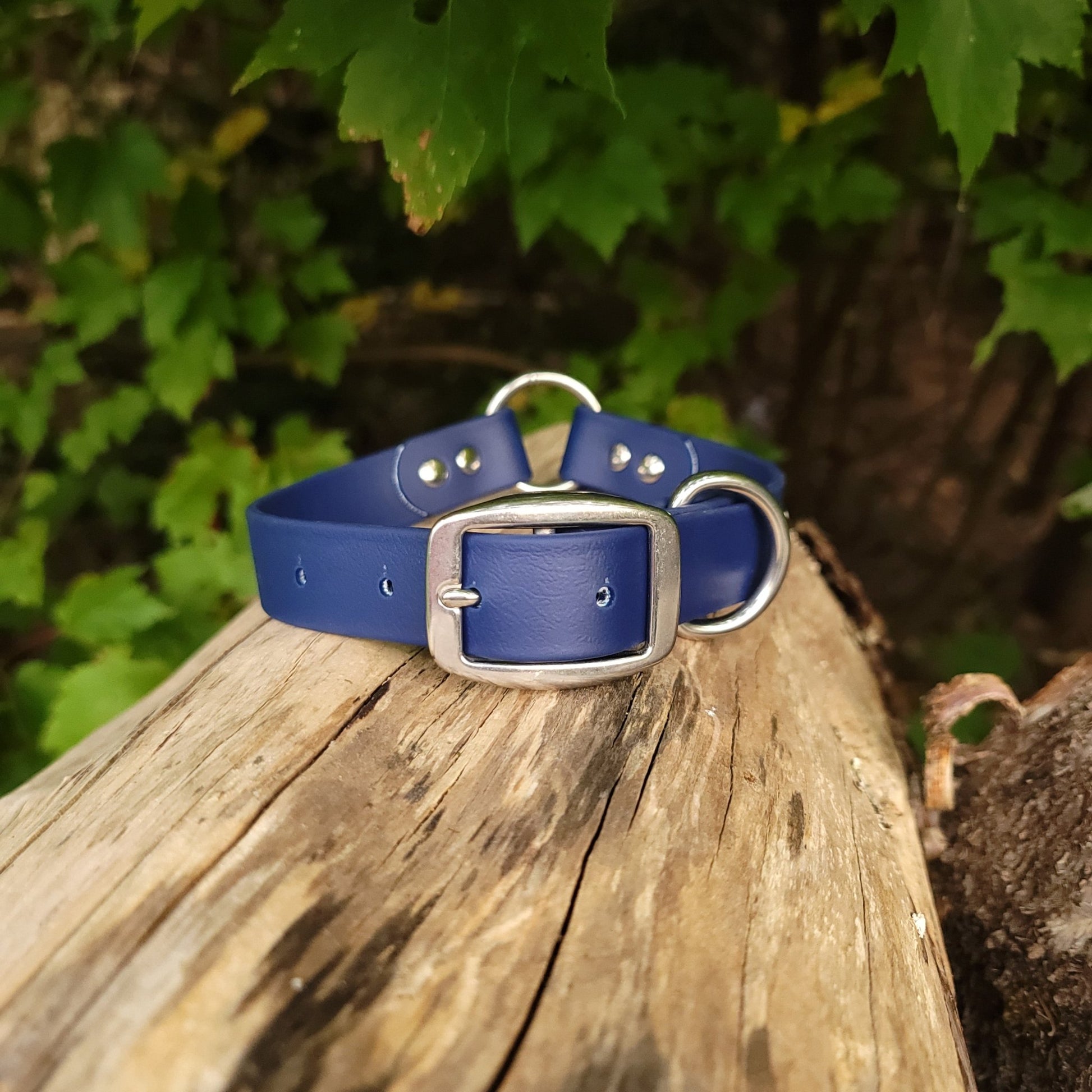 1" Wide Biothane Safety Collar - Get Dirty Pet Gear