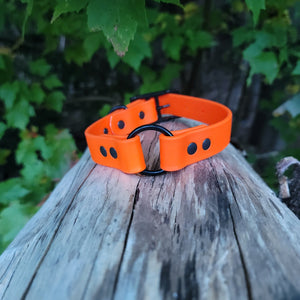 1" Wide Biothane Safety Collar - Get Dirty Pet Gear