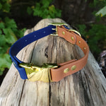 1" Wide Dual Clip Biothane Collar - Get Dirty Pet Gear