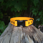 Load image into Gallery viewer, 1&quot; Wide Quick Release Biothane Collar - Get Dirty Pet Gear
