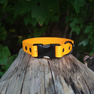 1" Wide Quick Release Biothane Collar - Get Dirty Pet Gear