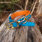 Load image into Gallery viewer, 1&quot; Wide Tapered Down Traditional Buckle Biothane Collar - Get Dirty Pet Gear
