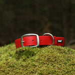 Load image into Gallery viewer, 1&quot; Wide Traditional Buckle Biothane Collar - Get Dirty Pet Gear

