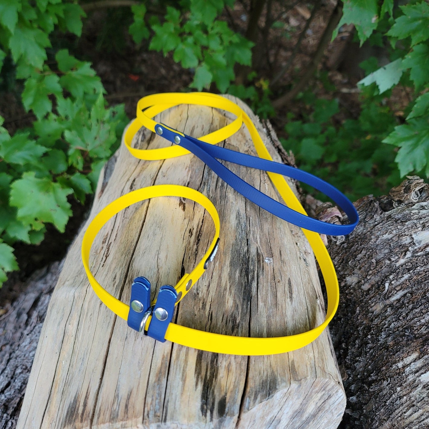 1/2" Easy Fit Biothane Slip Leash - Get Dirty Pet Gear