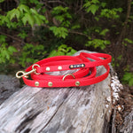 Load image into Gallery viewer, 1/2&quot; Wide Traditional Bolt Snap Biothane Leash - Get Dirty Pet Gear
