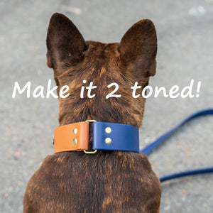 1.5" Wide Traditional Buckle Biothane Dog Collar - Get Dirty Pet Gear