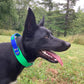 1.5" Wide Work & Sport Biothane Dog Collar with Handle - Get Dirty Pet Gear