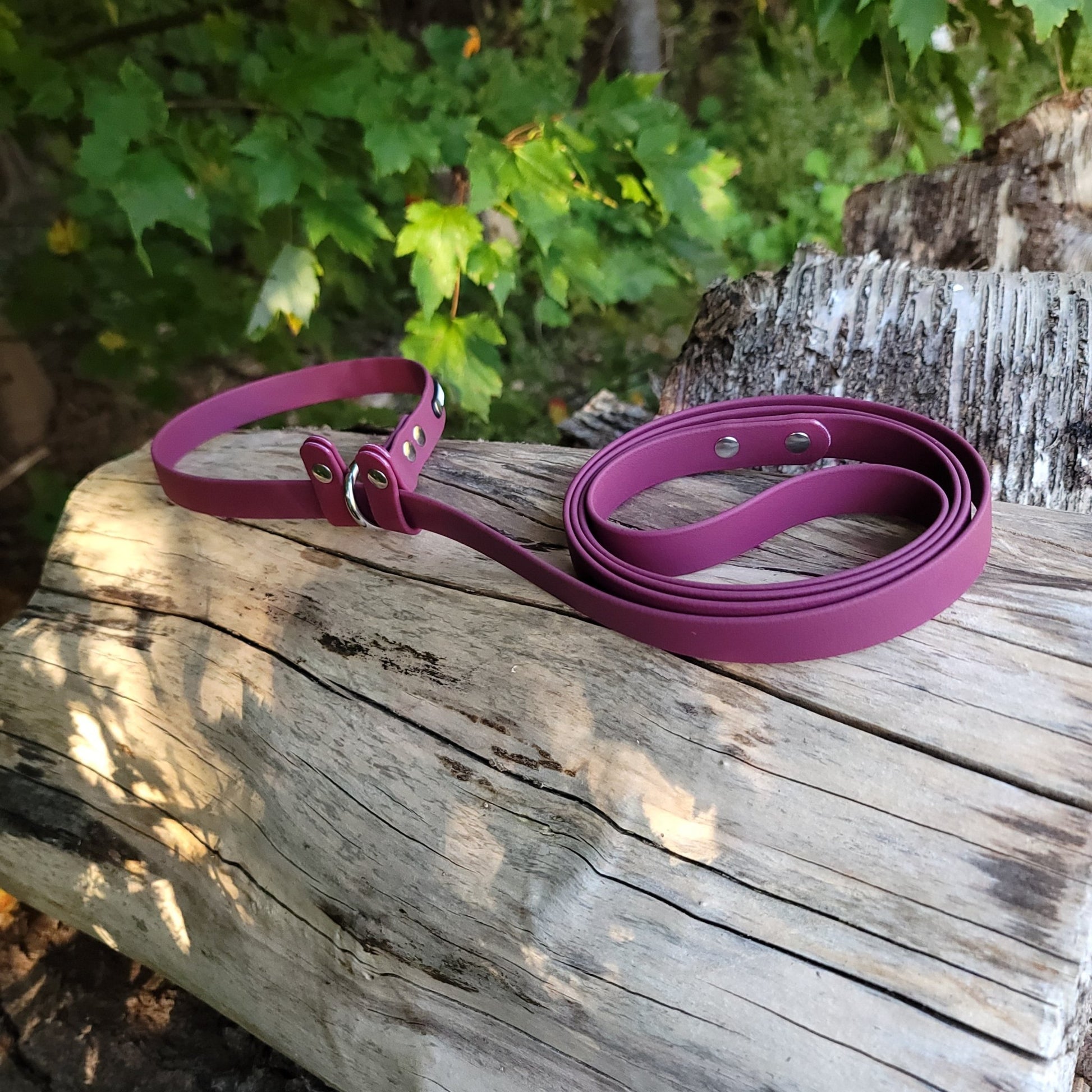 3/4" Easy Fit Biothane Slip Leash - Get Dirty Pet Gear