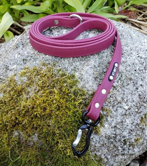 3/4" Wide Adventure Carabiner Biothane Leash - Get Dirty Pet Gear