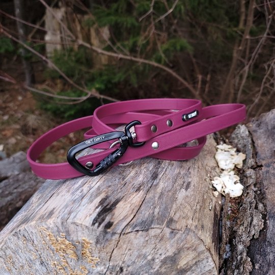 3/4" Wide Adventure Carabiner Biothane Leash - Get Dirty Pet Gear