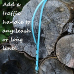 Load image into Gallery viewer, 3/4&quot; Wide Adventure Carabiner Biothane Leash - Get Dirty Pet Gear
