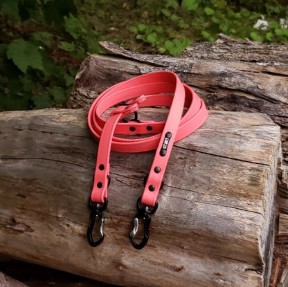 3/4" Wide Adventure Carabiner Hands Free Leash - Get Dirty Pet Gear