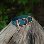 Load image into Gallery viewer, 3/4&quot; Wide Traditional Buckle Biothane Dog Collar - Get Dirty Pet Gear
