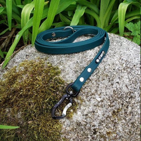 5/8" Wide Adventure Carabiner Biothane Leash - Get Dirty Pet Gear