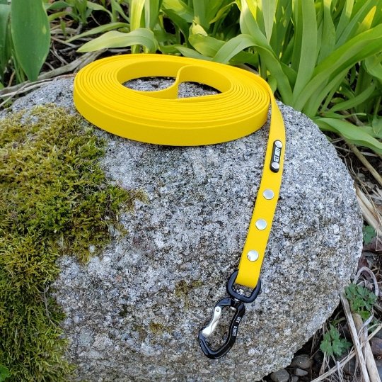 5/8" Wide Adventure Carabiner Biothane Long Line - Get Dirty Pet Gear