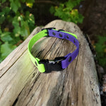 Load image into Gallery viewer, 5/8&quot; Wide Dual Clip Biothane Collar - Get Dirty Pet Gear
