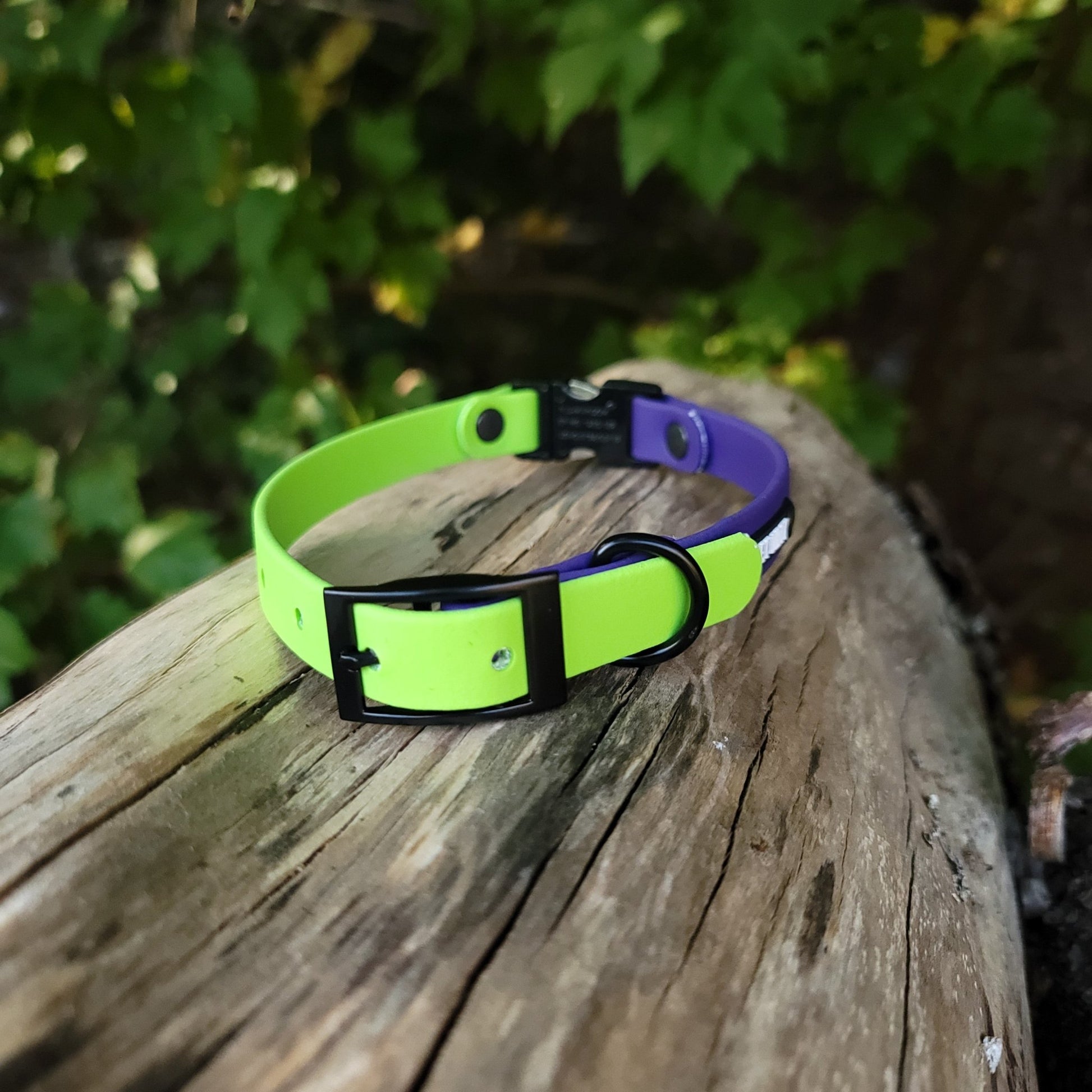 5/8" Wide Dual Clip Biothane Collar - Get Dirty Pet Gear