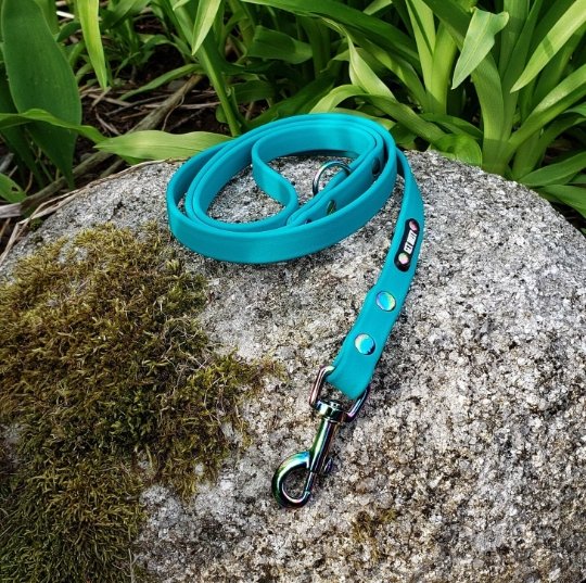 5/8" Wide Traditional Bolt Snap Biothane Leash - Get Dirty Pet Gear