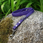 Load image into Gallery viewer, 5/8&quot; Wide Traditional Bolt Snap Biothane Leash - Get Dirty Pet Gear
