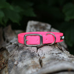 Load image into Gallery viewer, 5/8&quot; Wide Traditional Buckle Biothane Dog Collar - Get Dirty Pet Gear
