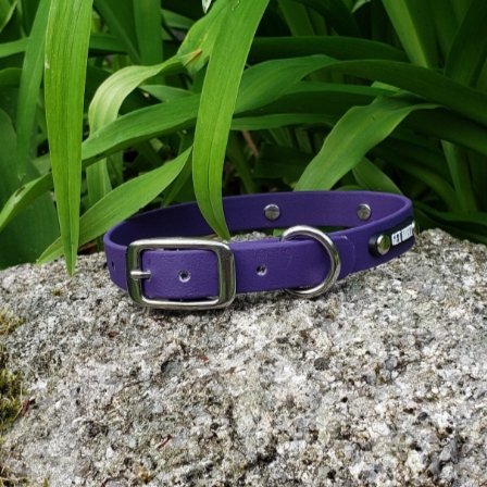 5/8" Wide Traditional Buckle Biothane Dog Collar - Get Dirty Pet Gear