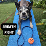 Load image into Gallery viewer, Tiny Toss &amp; Play BioThane® Ball Tug - Get Dirty Pet Gear
