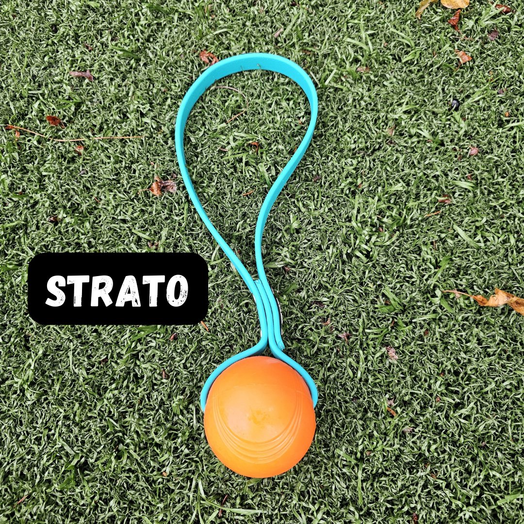 Toss & Play BioThane Ball Tug - Get Dirty Pet Gear