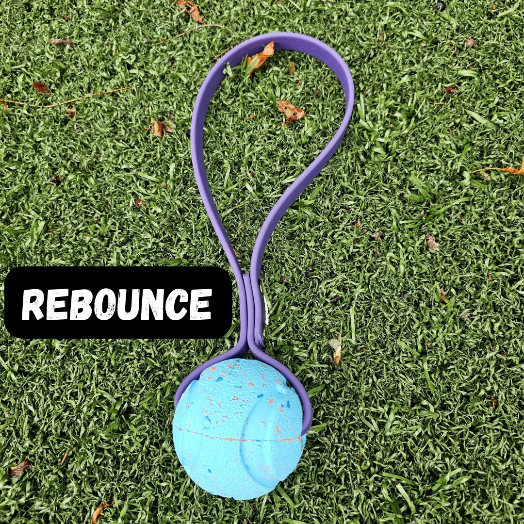 Toss & Play BioThane Ball Tug - Get Dirty Pet Gear