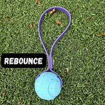 Load image into Gallery viewer, Toss &amp; Play BioThane Ball Tug - Get Dirty Pet Gear
