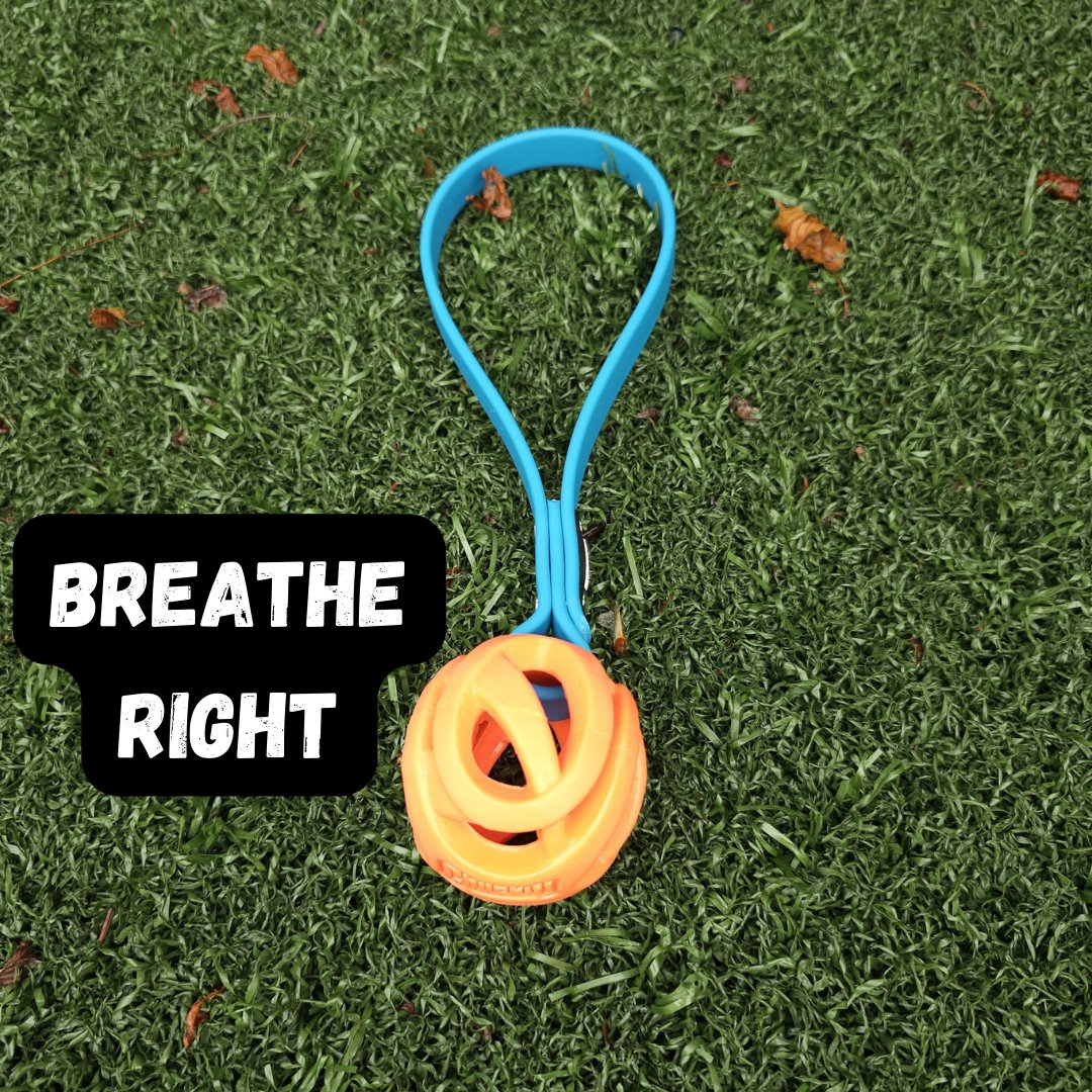 Toss & Play BioThane Ball Tug - Get Dirty Pet Gear