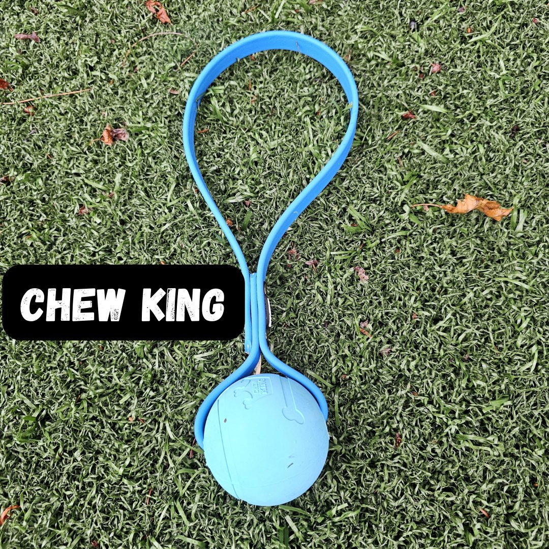 Toss & Play BioThane Ball Tug - Get Dirty Pet Gear