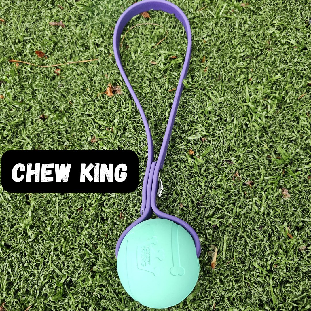 Toss & Play BioThane Ball Tug - Get Dirty Pet Gear